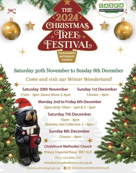 🎄Chislehurst Christmas Tree Festival 💖