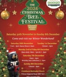 🎄Chislehurst Christmas Tree Festival 💖